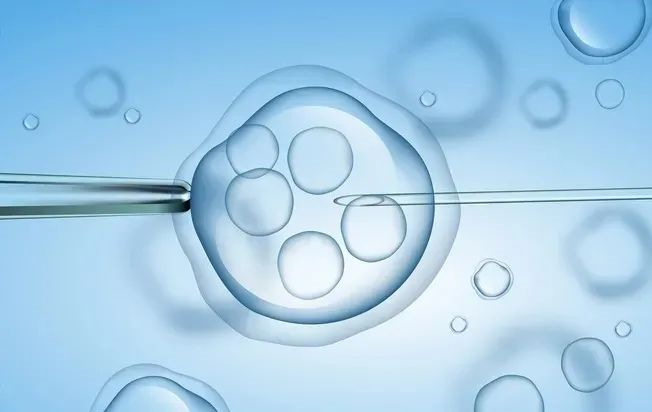 长沙不孕不育辅助生殖技术